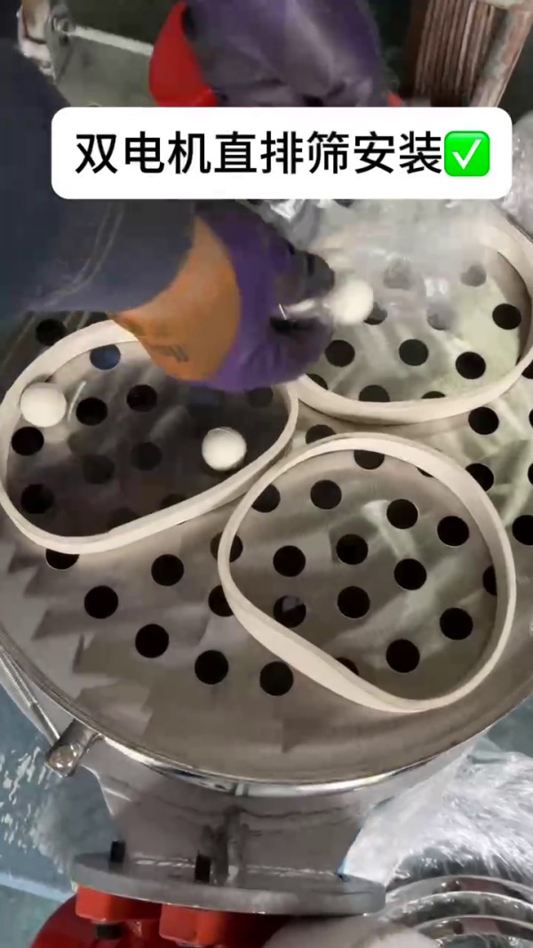 雙電機直排篩